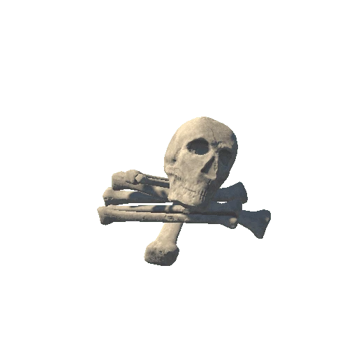 Bone Pile 1A5